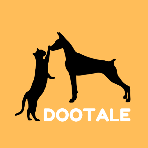 DooTale